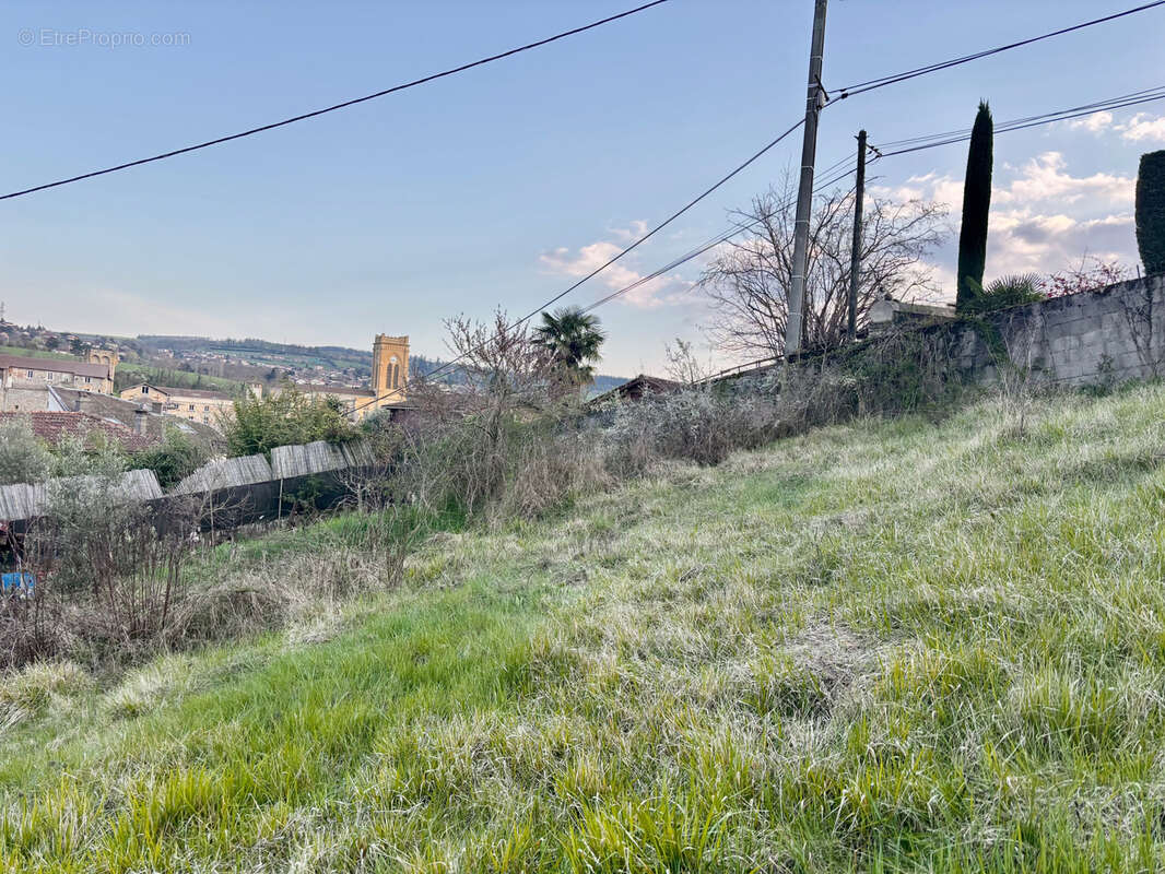 Terrain à L'ARBRESLE