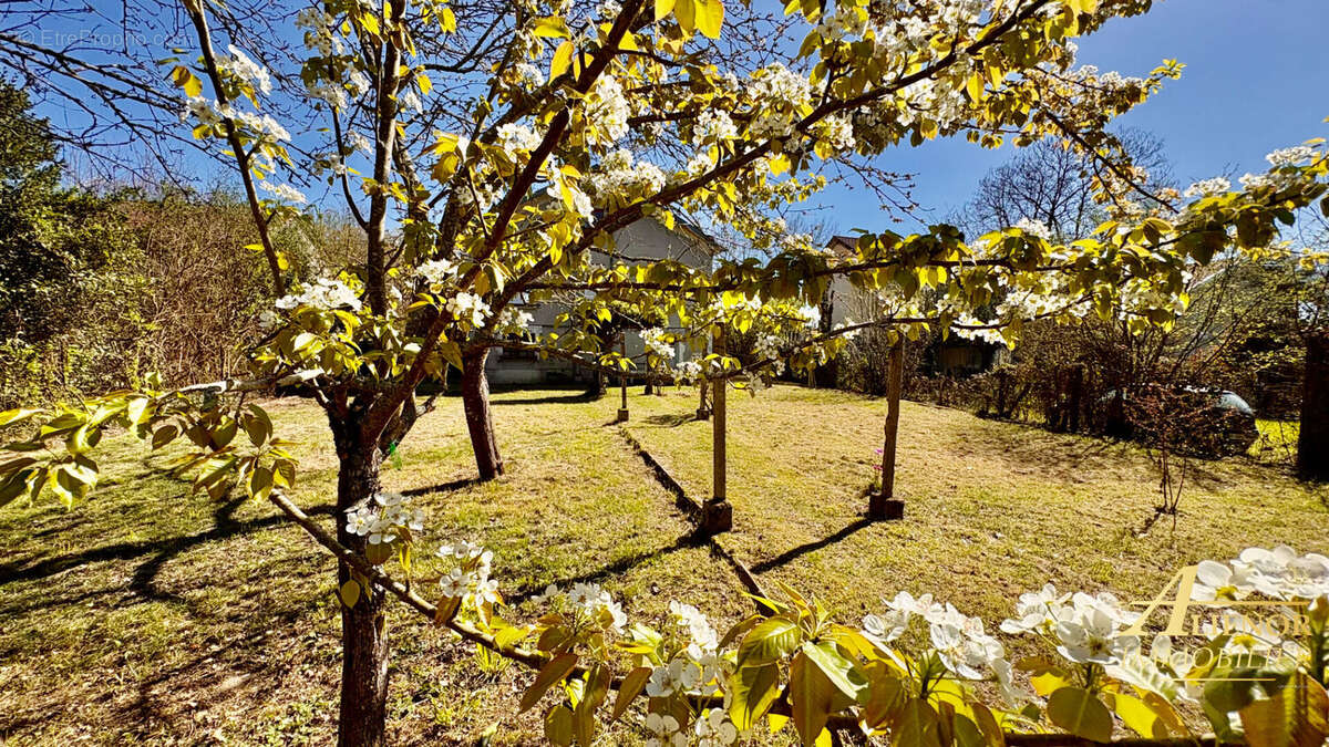 Maison à SAINT-ASTIER
