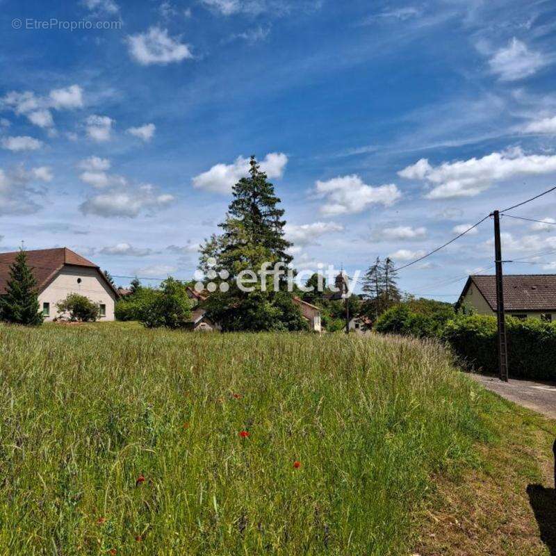 Terrain à VESOUL