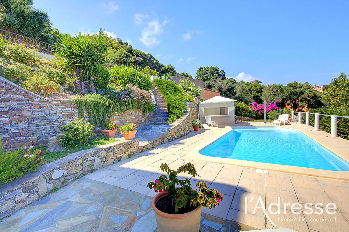 Maison BASTIA MONSERATO 6 pièces 180 m2 piscine studio indépendant - photo 3