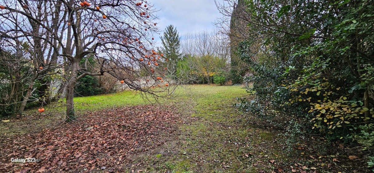 Terrain à SAINT-REMY-DE-PROVENCE