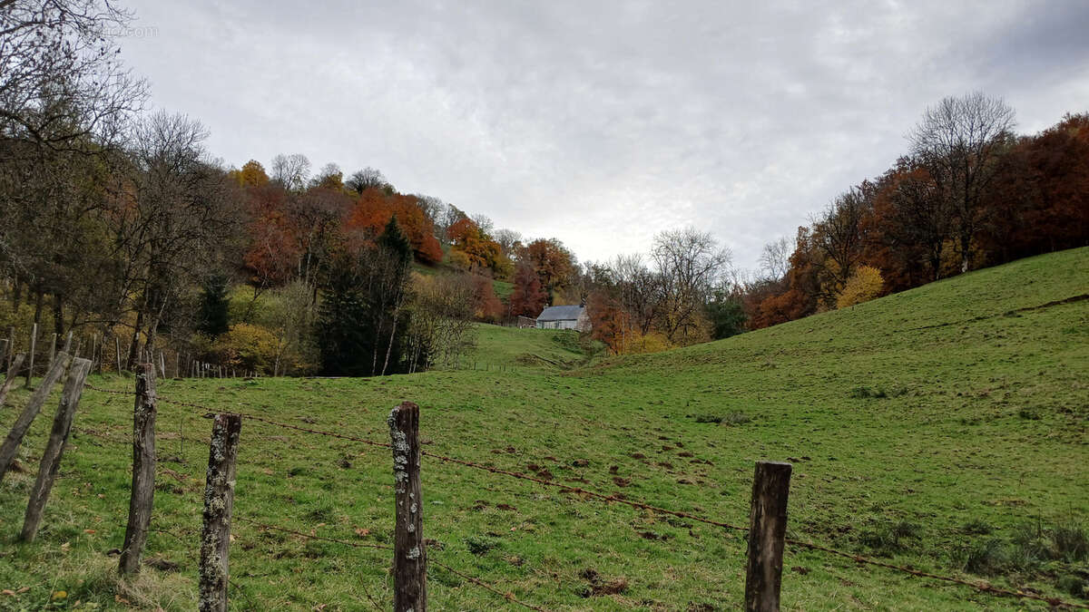 Maison à MOUSSAGES