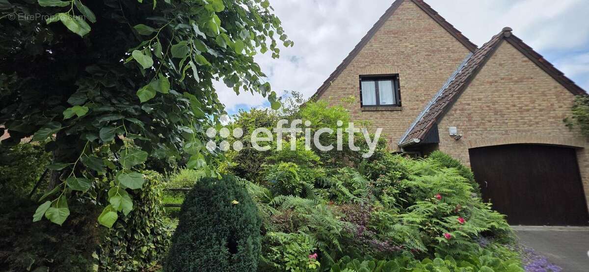 Maison 176 m² à Leers  - photo 38