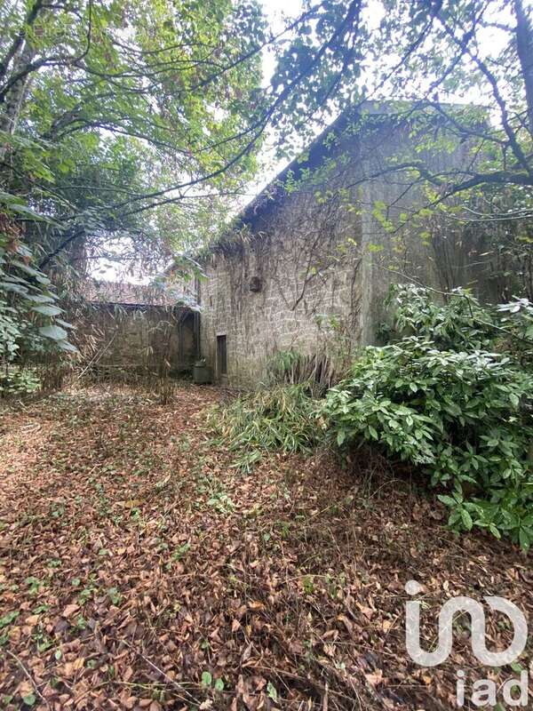 Photo 9 - Maison à NANTHEUIL