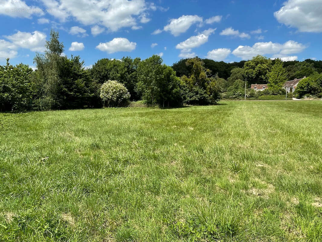 Photo 2 - Terrain à SAINT-MARTIN-DU-BOSCHET