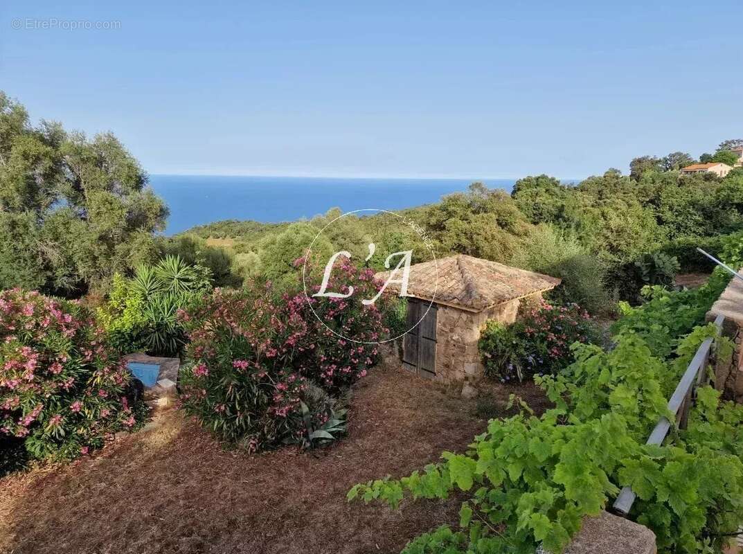 Maison à SARI-SOLENZARA