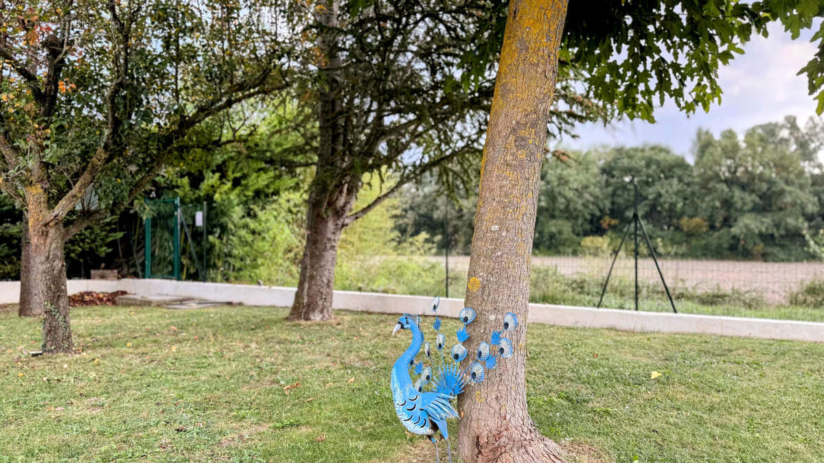 Maison à CHATEAUNEUF-LE-ROUGE