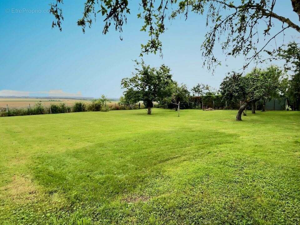 Ensemble immobilier 2 maisons et hangar- Donnemarie-Dontilly- - photo 11
