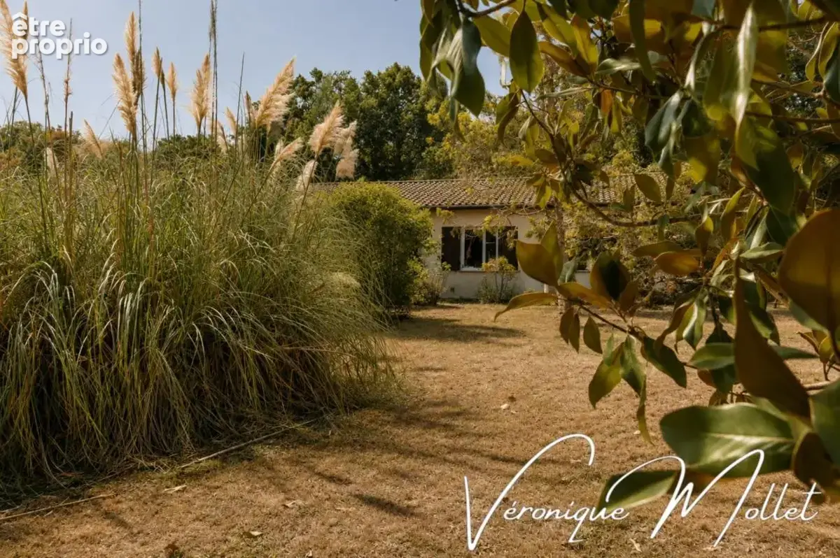 Lignan de bordeaux - aux portes de fargues st hilaire - sur 2591m2 et sur sous-sol integral - photo 2
