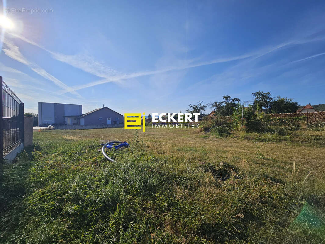 Terrain 660 m² à Gresswiller  - photo 4
