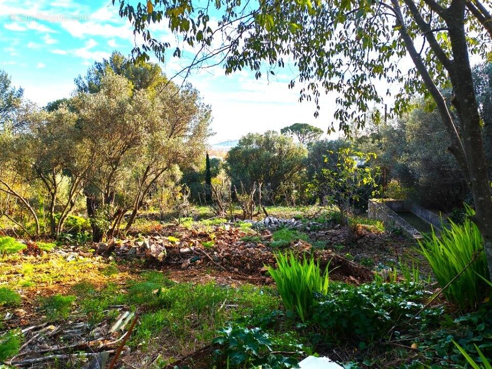 Terrain à TOULON
