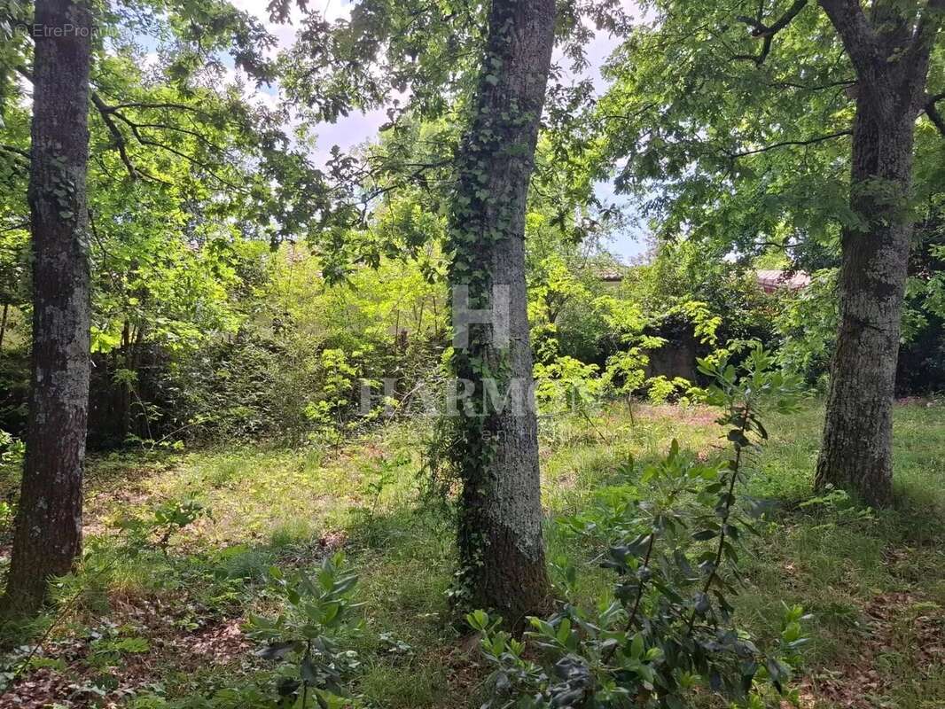 Terrain à GUJAN-MESTRAS