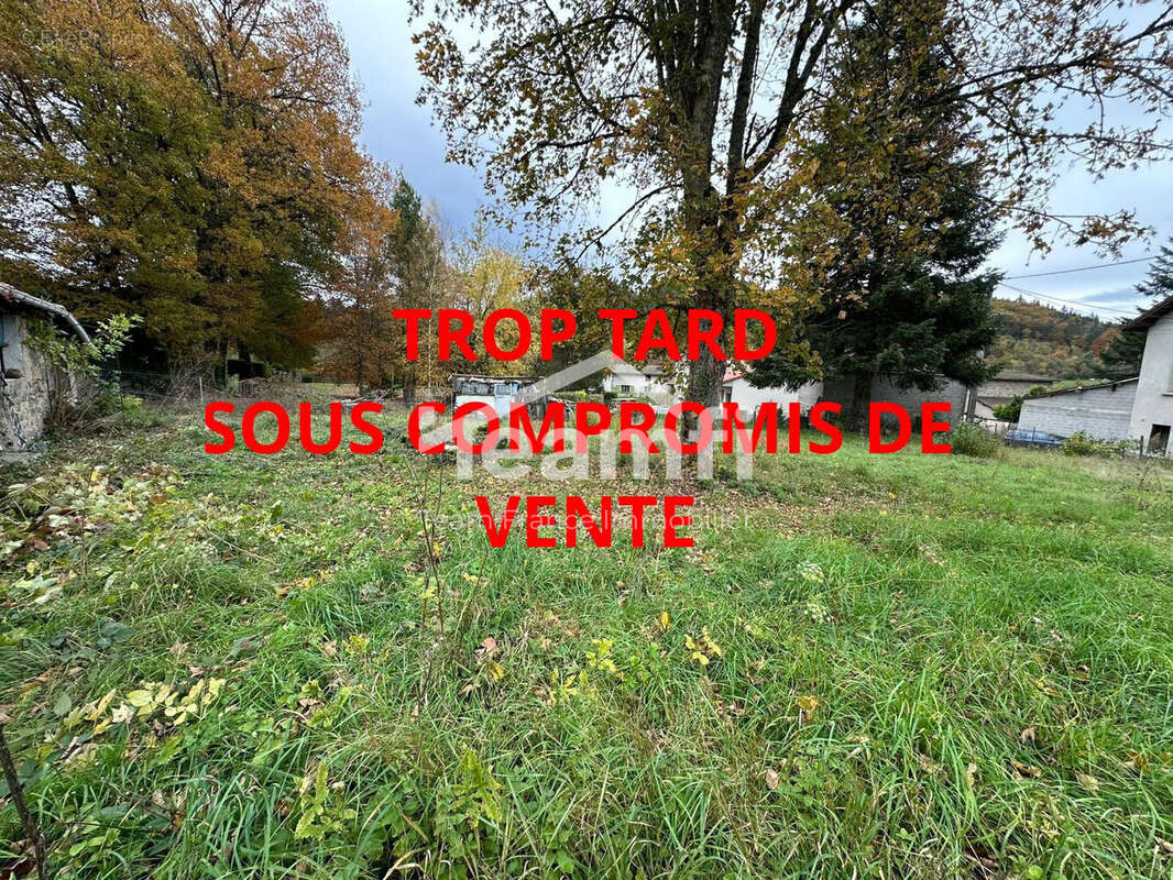 Maison à LA MONNERIE-LE-MONTEL