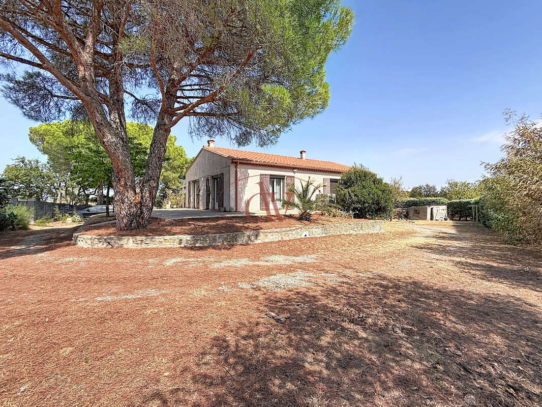 Maison plain pied 4 faces 100m2 - parcelle 3106m2 encore constructible - ( villelongue-dels-monts ) - photo 8