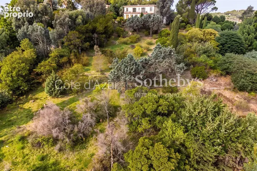 Super Cannes, terrain de 6 071 m² avec permis purgé pour deux villas vue mer - photo 10