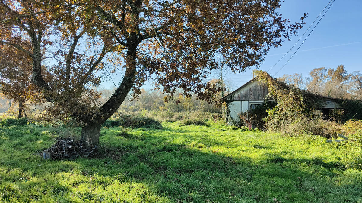 Terrain à LANGON
