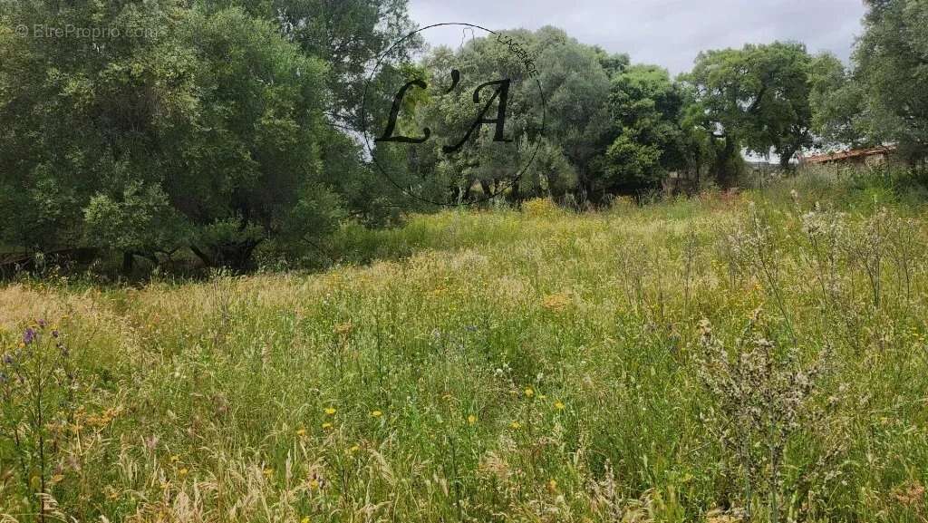 AFA – Terrain constructible de 1 270 m² – Vue campagne – Libre de constructeur - photo 10
