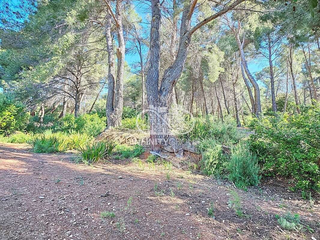 Maison à SAINT-MARTIN-DU-VAR