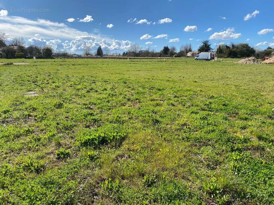 Terrain à BALLON