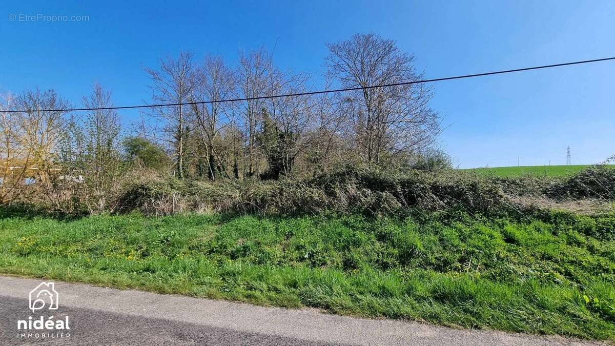 Commerce à SAINT-PIERRE-LA-GARENNE