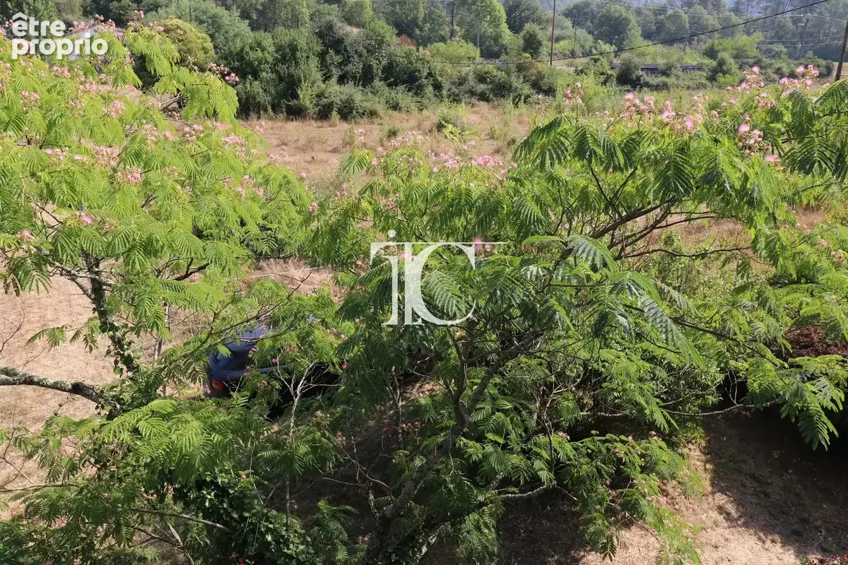 Bel envirronnement pour ce mas 2 appartements 4248 m² de terrain avec accès rivière - photo 15
