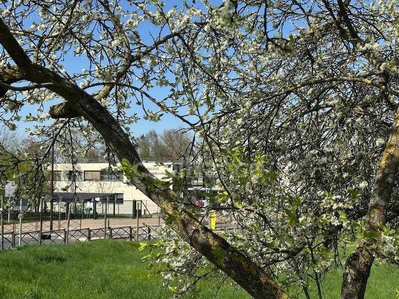 Terrain à SARTROUVILLE