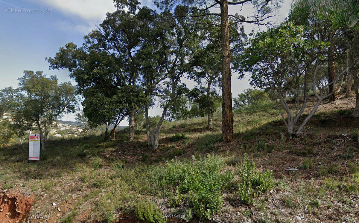 Terrain à LA LONDE-LES-MAURES
