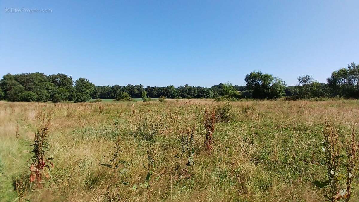Propriété modulable sur 7 hectares à 15 min de Dax - photo 16