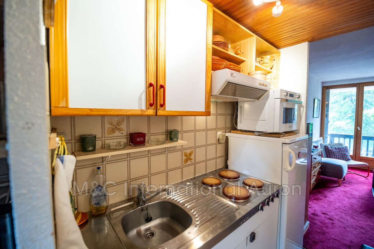 Appartement 25 m² à Saint-Etienne-De-Tinee  - photo 8