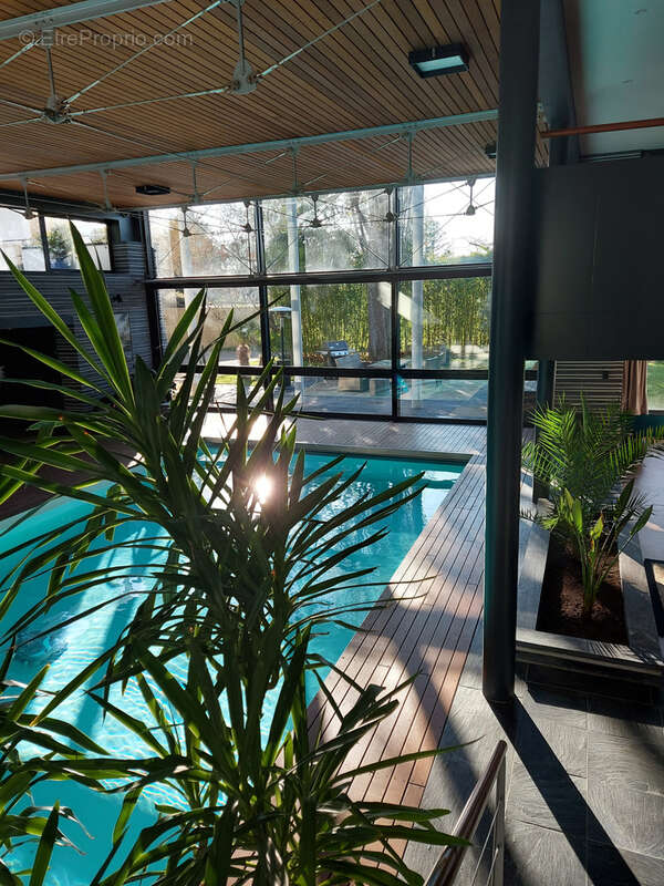 Propriété d'exception avec piscine intérieure et parc arboré - photo 16