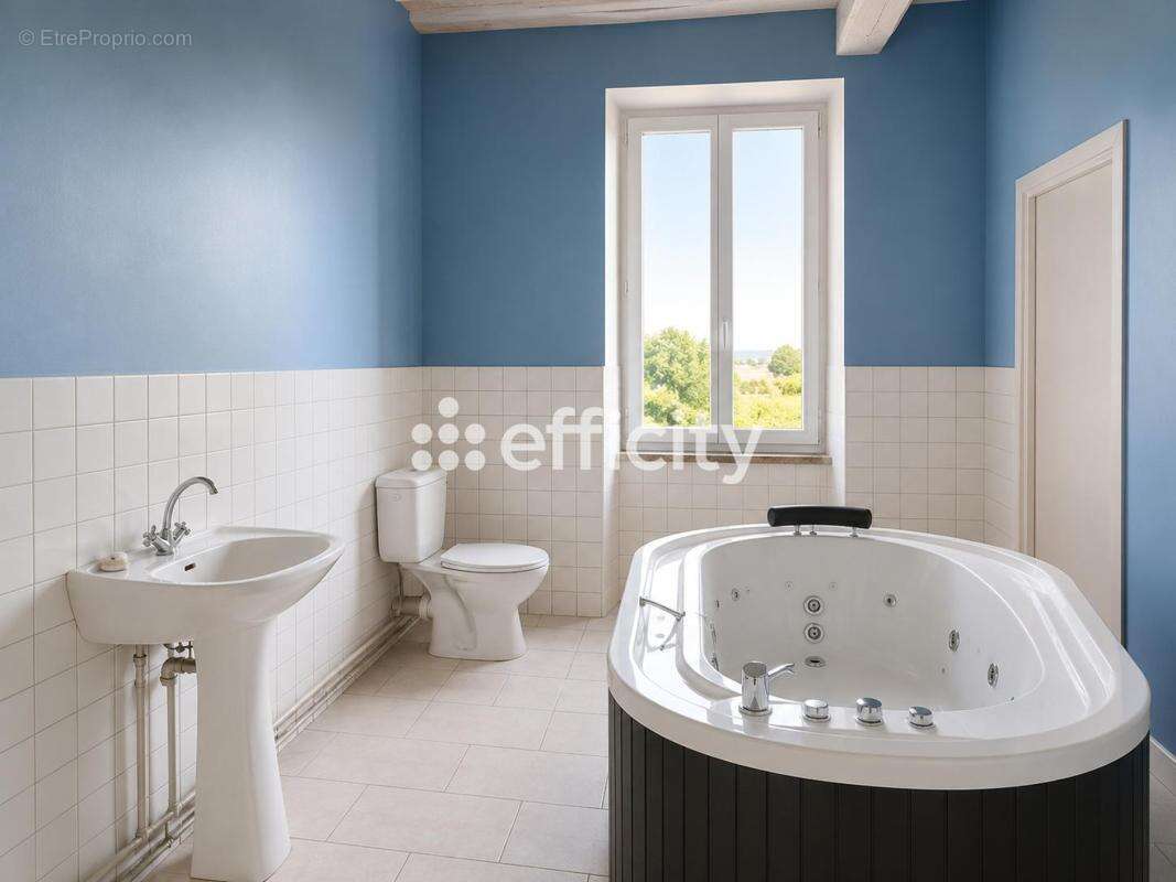 Maison 9 pièces 354 m² à vendre à Saint-Ciers-Du-Taillon (17240) - photo 11