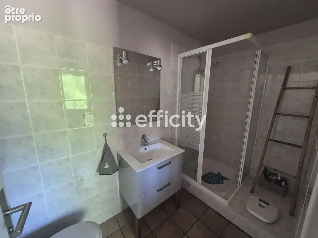 Maison 8 pièces 205 m² à vendre à Saint-Brice-Sur-Vienne (87200) - photo 6