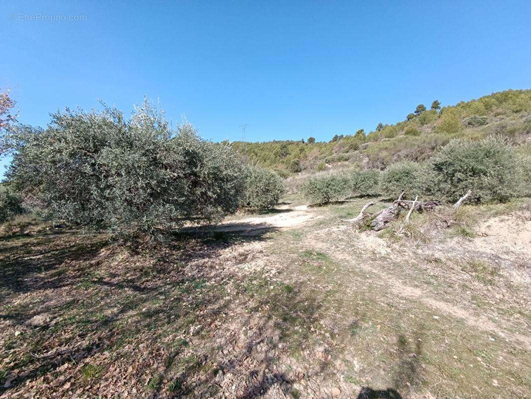 Terrain à MANOSQUE