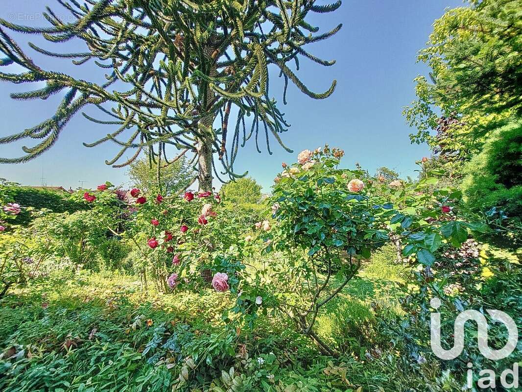 Photo 7 - Maison à YERRES