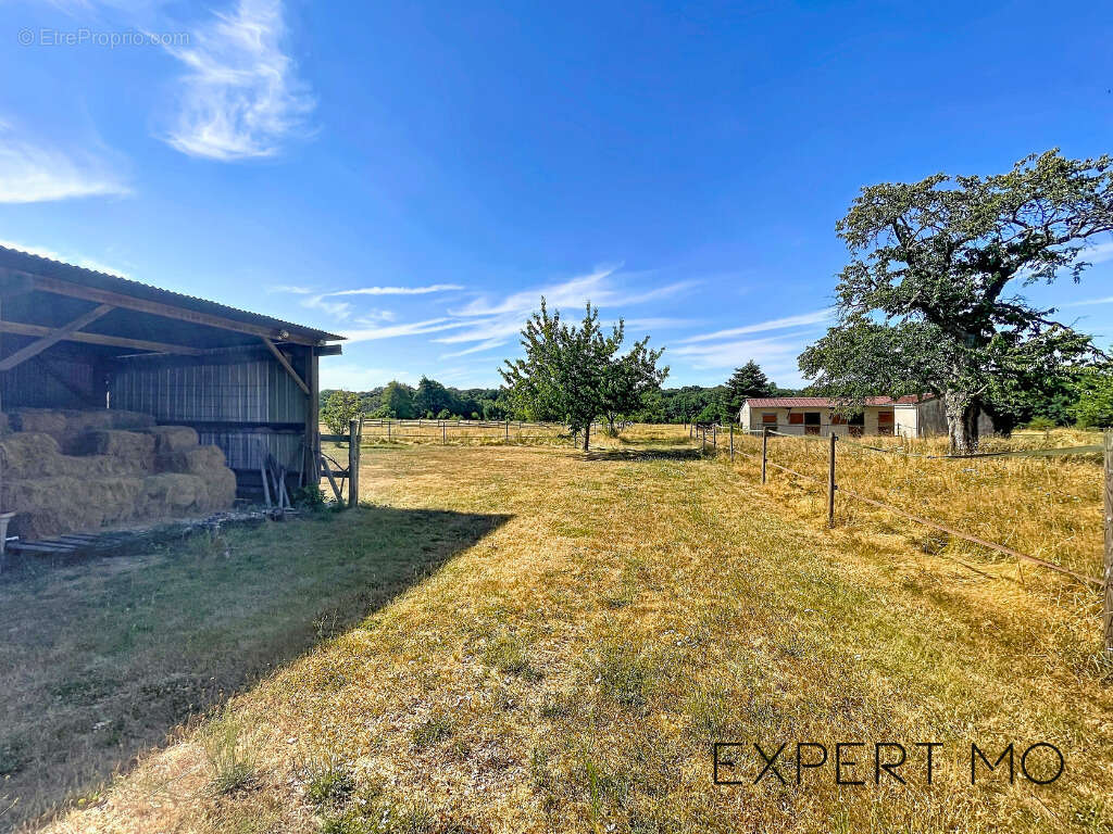 28270 - la manceliere - propriete equestre - maison 155 m2 - 4 chambres - 2,1 ha de terrain - photo 5