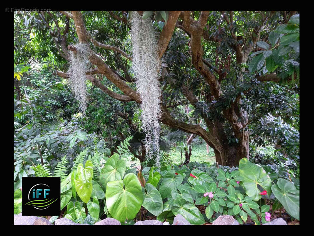 Maison à SAINT-DENIS
