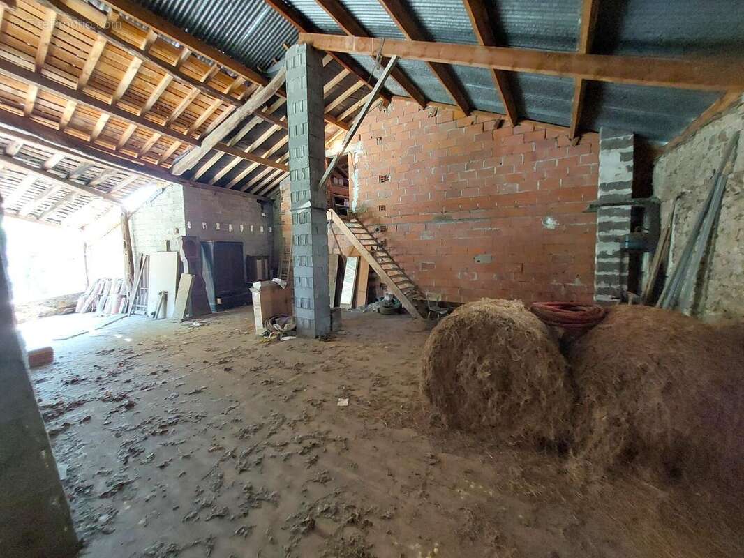 20250618102416 - Maison à SAINT-MARTORY