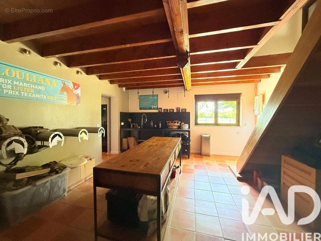 Maison 380 m² à Montpon-Menesterol  - photo 8