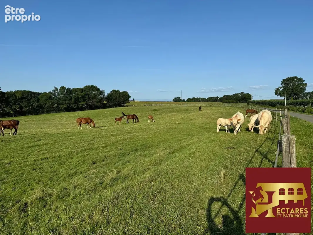 Propriété agricole 48 hectares - photo 3