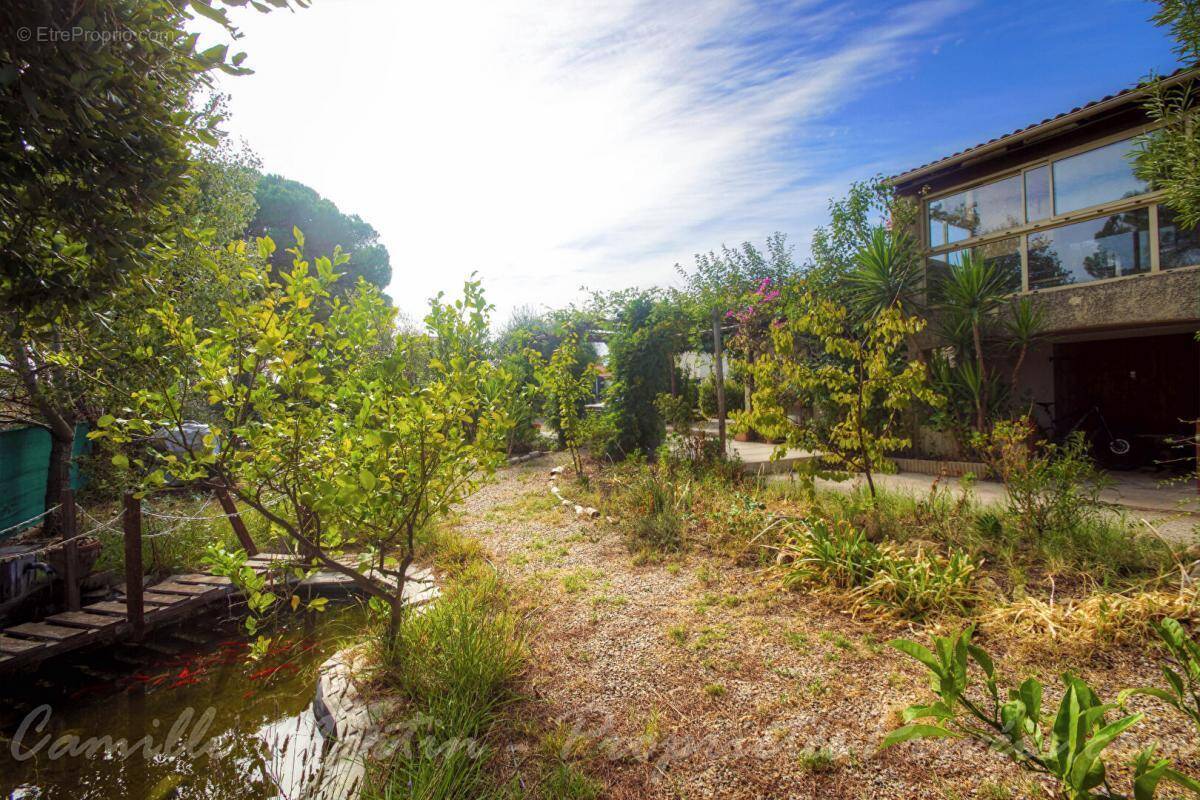 Maison à PUGET-SUR-ARGENS