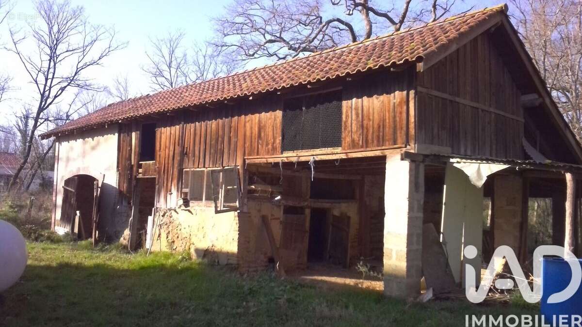 Photo 6 - Maison à SORT-EN-CHALOSSE
