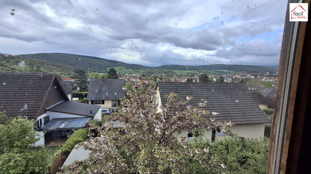 Maison 250 m² à Wasselonne  - photo 2