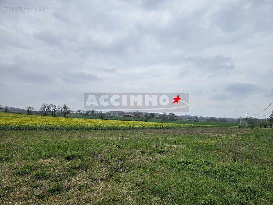 Terrain à MONTDRAGON