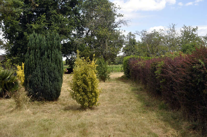 Maison à L&#039;ABERGEMENT-DE-CUISERY