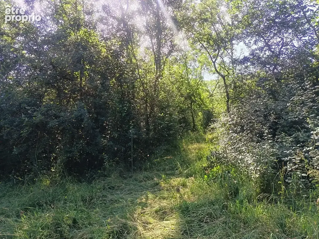 Terrain Selles Sur Cher 860 m2 - photo 4