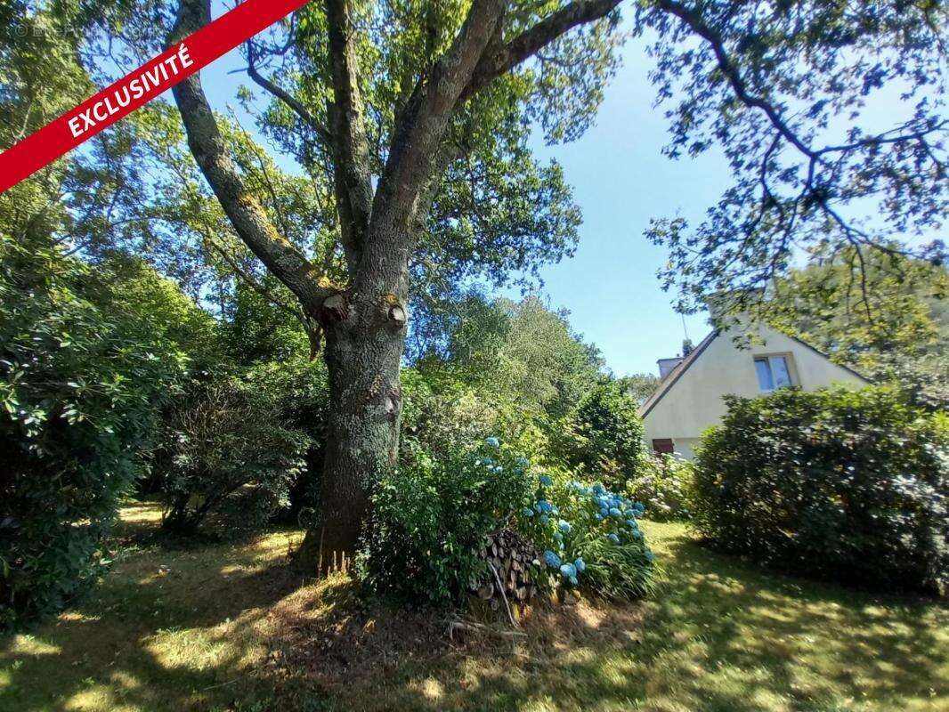 Maison bretonne sulniac morbihan - photo 18