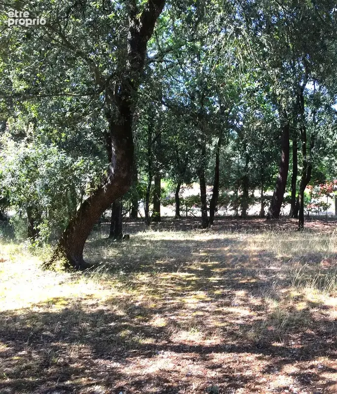 Terrain 864 m² à vendre à Le Verdon-Sur-Mer (33123) - photo 1