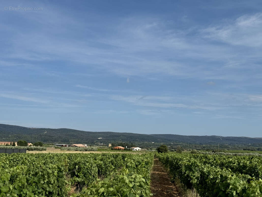 Terrain à SAINT-JEAN-DE-FOS