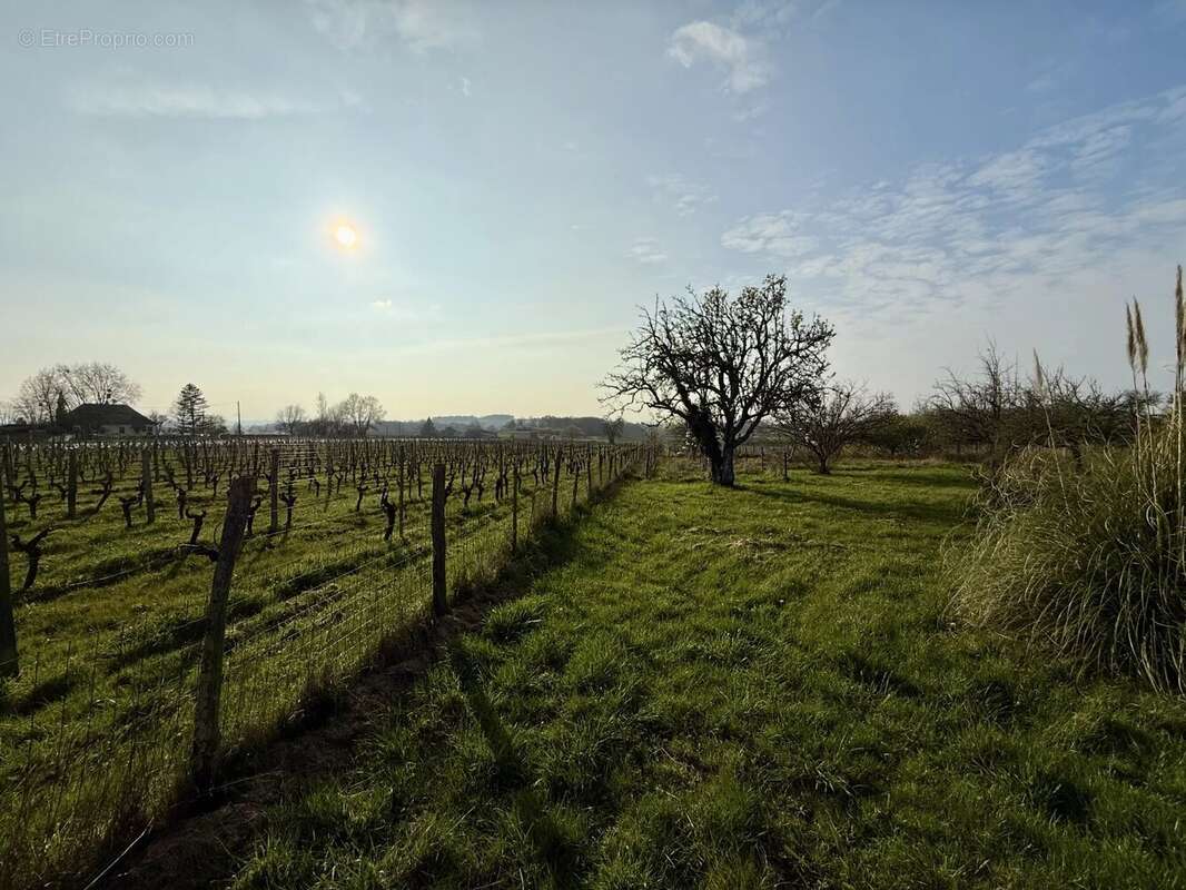 Maison à ROUFFIGNAC-DE-SIGOULES
