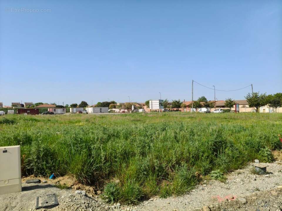 Terrain à FROUZINS
